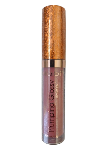 PL09- Plumping Glossy Lipgloss